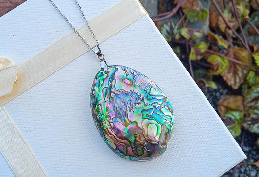 Abalone paua mušle na řetízku z chirurgické oceli