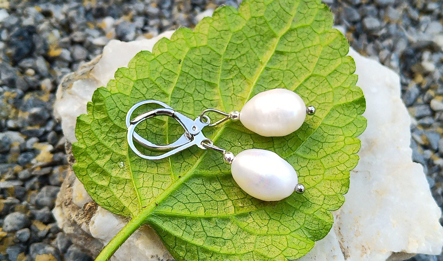 Pravé říční perly 12 mm náušnice na chirurgické oceli