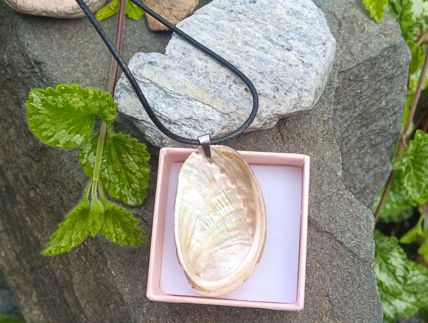 🌊 Oboustranný náhrdelník 2v1 s abalone mušlí (Paua)