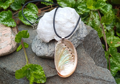 🌊 Oboustranný náhrdelník 2v1 s abalone mušlí (Paua)