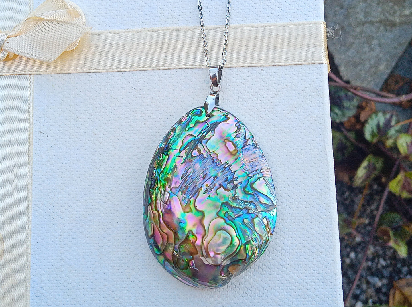 Abalone paua mušle na řetízku z chirurgické oceli