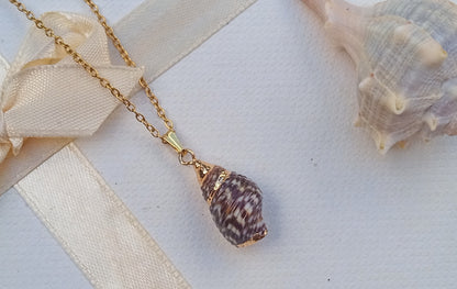🐚 Volání moře: Pozlacený náhrdelník s filipínskou mušličkou