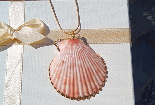 Pozlacený náhrdelník z chirurgické oceli s pravou mořskou mušlí – Pink Ocean
