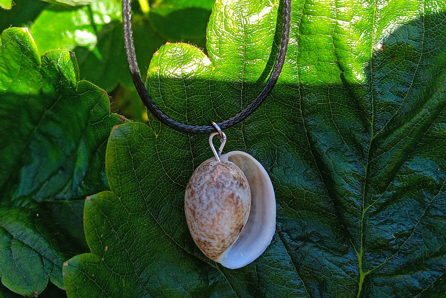 Minimalistický boho náhrdelník s pravou mořskou mušlí na voskované šňůrce (23x18 mm)