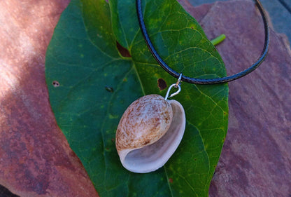 Minimalistický boho náhrdelník s pravou mořskou mušlí na voskované šňůrce (23x18 mm)