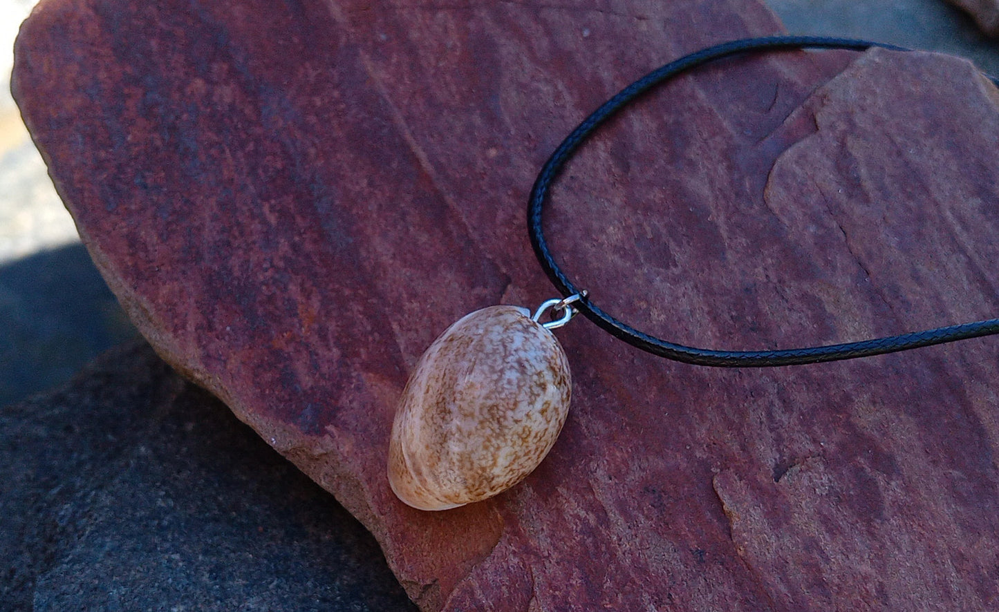 Minimalistický boho náhrdelník s pravou mořskou mušlí na voskované šňůrce (23x18 mm)