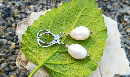 Pravé říční perly 12 mm náušnice na chirurgické oceli