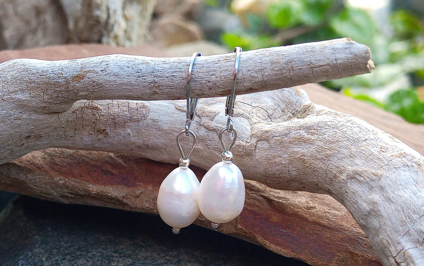 Pravé říční perly 12 mm náušnice na chirurgické oceli