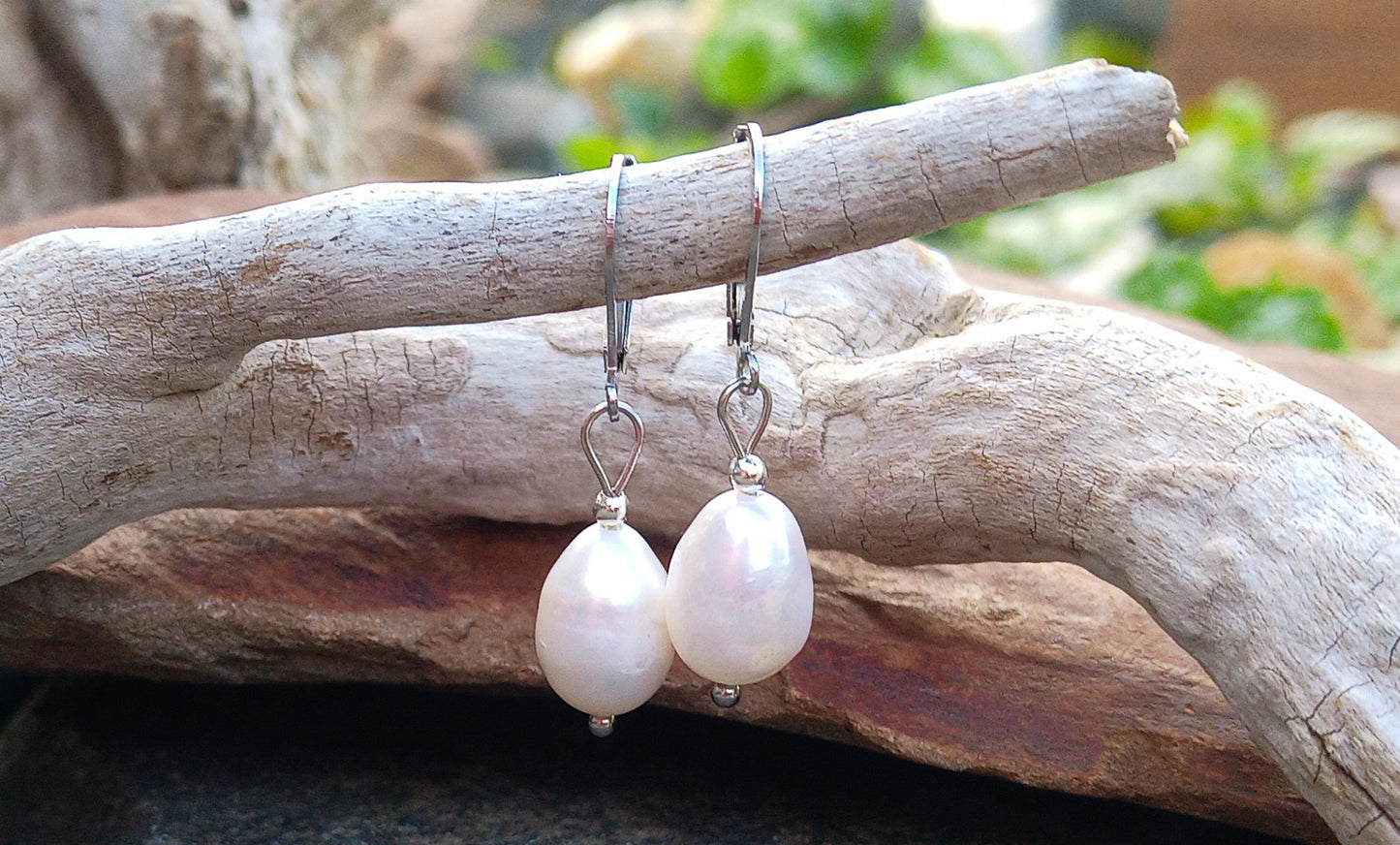 Pravé říční perly 12 mm náušnice na chirurgické oceli