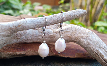 Pravé říční perly 12 mm náušnice na chirurgické oceli