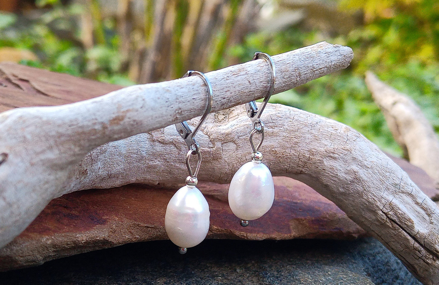 Pravé říční perly 12 mm náušnice na chirurgické oceli