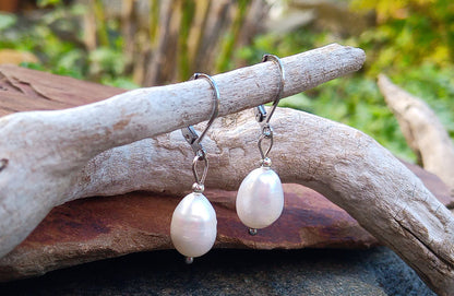 Pravé říční perly 12 mm náušnice na chirurgické oceli