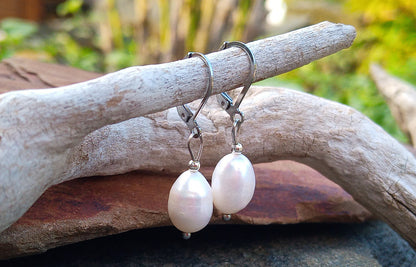 Pravé říční perly 12 mm náušnice na chirurgické oceli