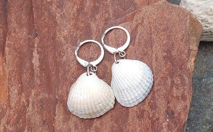 Letní náušnice s přírodními mušlemi – Dotek mořského vánku