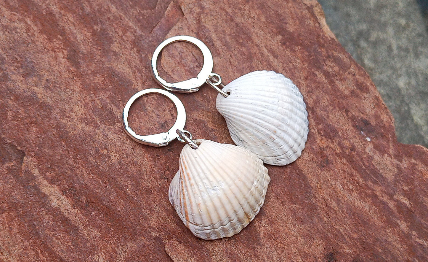 Letní náušnice s přírodními mušlemi – Dotek mořského vánku