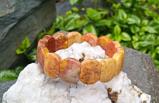 Jedinečný pružný náramek: Fosilní korálový jaspis